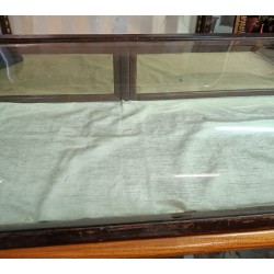 Vitrine de table bombée