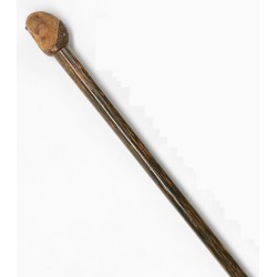 Walking stick with a carved walnut knob in the shape of a ‘parrot’s head’