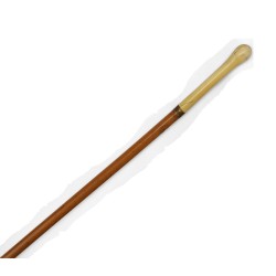 Walking stick with an elongated ivory knob