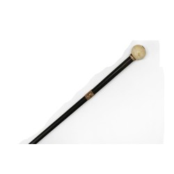 Ivory walking stick with a ball-shaped knob and a compass