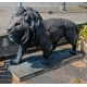Bronze monumental "Lion marchant" d'après Barye