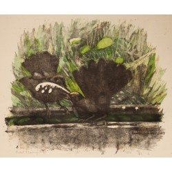 Gravure "Le bain des merles" signée HAINARD