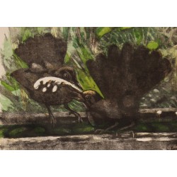 Gravure "Le bain des merles" signée HAINARD