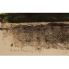 Gravure "Le bain des merles" signée HAINARD