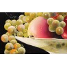 Tableau \"Nature morte\" signé LIAUTAUD. a. 02