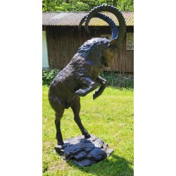 Bouquetin des alpes sur pattes arrière en bronze