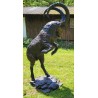 Bouquetin des alpes sur pattes arrière en bronze