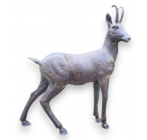 Chamois taille nature en bronze