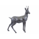 Chamois taille nature en bronze