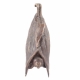 Chauve-souris en bronze