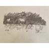 Gravure "Deux sangliers" signée HAINARD