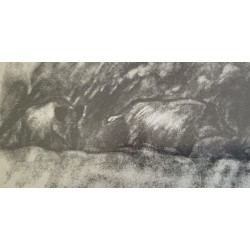 Gravure "Deux sangliers" signée HAINARD