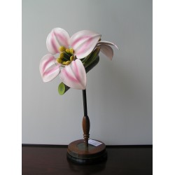 Décoration fleur \"Daphnaceae\"