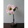 Décoration fleur \"Daphnaceae\"