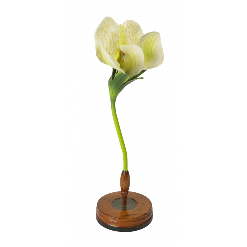 Décoration fleur "Pisum"