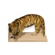 Tigre en porcelaine signé GvDÖRING