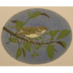 Lithograph entitled ‘Fauvette’, signed GICÉ 88