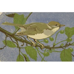 Lithograph entitled ‘Fauvette’, signed GICÉ 88