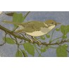 Lithograph entitled ‘Fauvette’, signed GICÉ 88