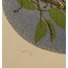 Lithograph entitled ‘Fauvette’, signed GICÉ 88