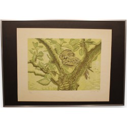 Lithograph entitled "Owl", signed GICÉ 84