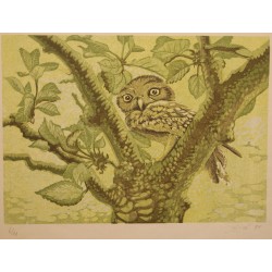 Lithograph entitled "Owl", signed GICÉ 84
