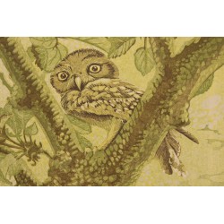 Lithograph entitled "Owl", signed GICÉ 84