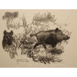 Engraving entitled ‘Two Wild Boars’, signed by Robert HAINARD
