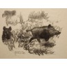 Engraving entitled ‘Two Wild Boars’, signed by Robert HAINARD