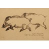 Engraving entitled ‘Two Wild Boars’, signed RH