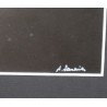 Photographie "Martin-Pêcheur" signée A. SAUNIER