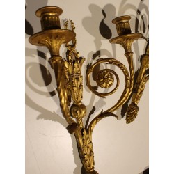 Paire d'appliques style Louis XVI à deux lumières