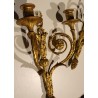 Paire d'appliques style Louis XVI à deux lumières
