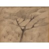 Dessin "Arbre" signé B 33