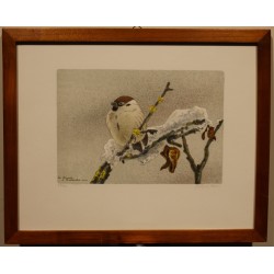 Engraving entitled ‘Moineau friquet’, signed RIME