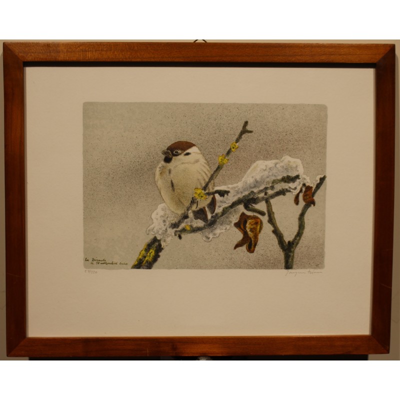 Engraving entitled ‘Moineau friquet’, signed RIME
