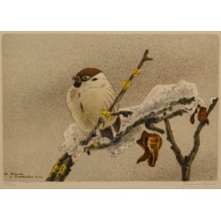 Engraving entitled ‘Moineau friquet’, signed RIME