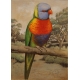 Gouache "Lorkket" signée P. A. ROBERT