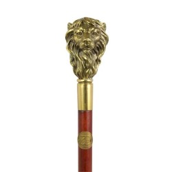 Walking stick with a bronze lion’s head knob