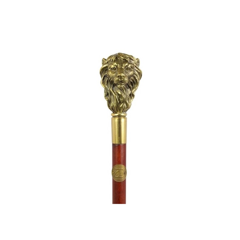 Walking stick with a bronze lion’s head knob