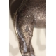 Touareg et Dromadaire en argent