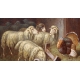 Tableau "Montons et dindon" signé A. NOWEY