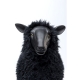 Mouton en résine avec fausse fourrure noire
