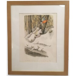 Gravure "Martin-pécheur" signée COSENDAY  sur Moinat SA  - Antiquités décoration -  Gravures, Lithos