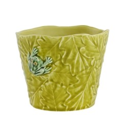 Cache-pot vert avec une grenouille
