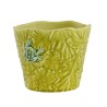 Cache-pot vert avec une grenouille