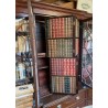 English mahogany bookcase