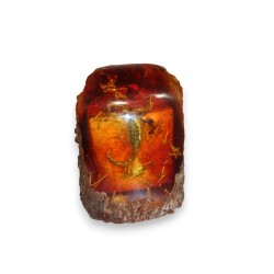 Scorpion dans un fossile d\'ambre artificielle