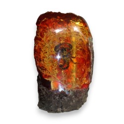 Scorpion dans un fossile d\'ambre artificielle