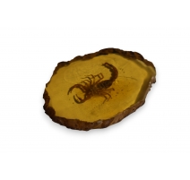 Scorpion dans un fossile d'ambre artificielle